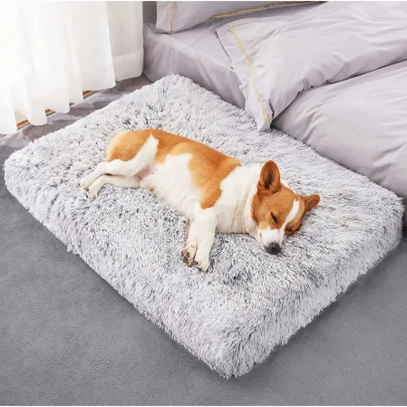 Premium Orthopedic Memory Foam Pet Bed | Plush Wave Deep Sleep Square Sofa Bed for Dogs & Cats| Washable and Double Layered| Egg Crate Foam Support|