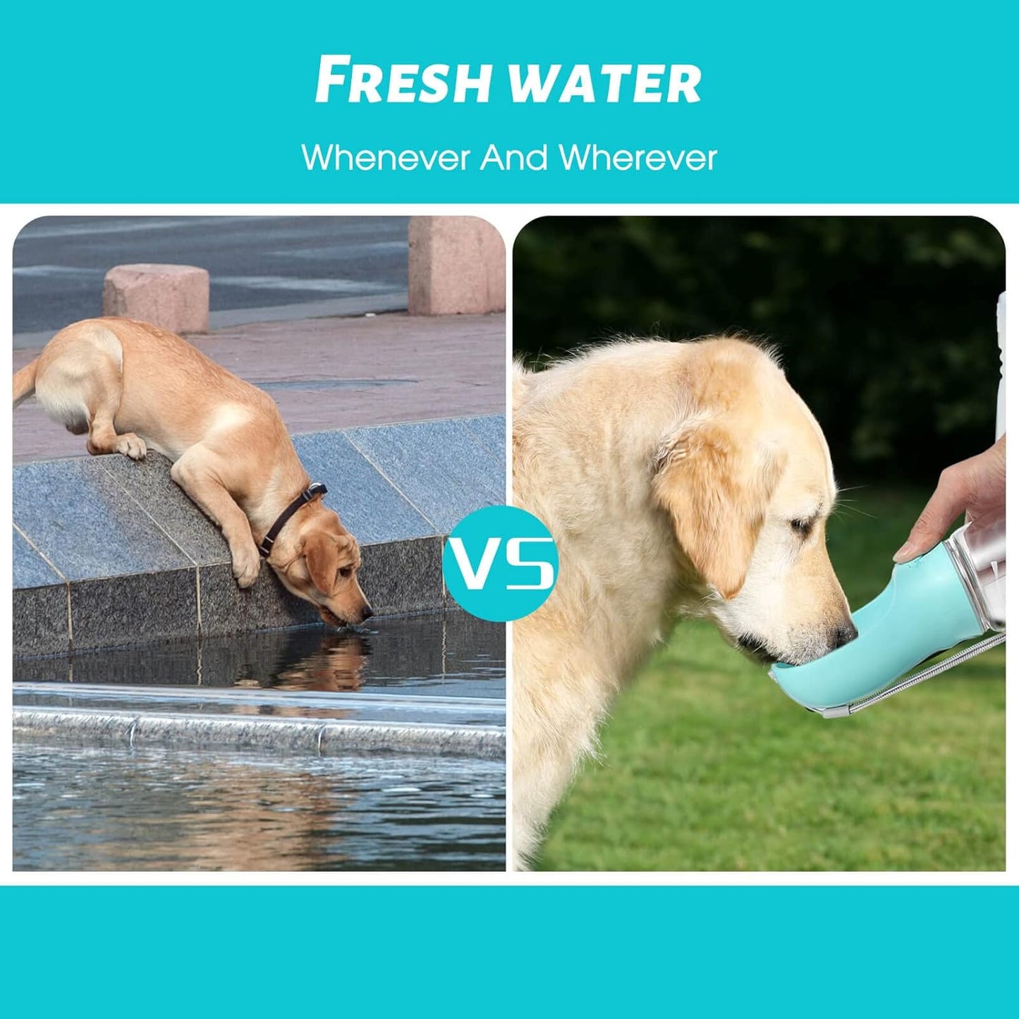 Portable Pet Water Bottle with Built-in Bowl – 12 oz & 19 oz Outdoor Dog & Cat Water Dispenser"