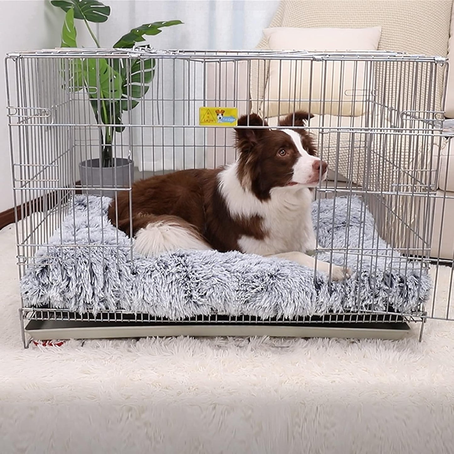 Premium Orthopedic Memory Foam Pet Bed | Plush Wave Deep Sleep Square Sofa Bed for Dogs & Cats| Washable and Double Layered| Egg Crate Foam Support|